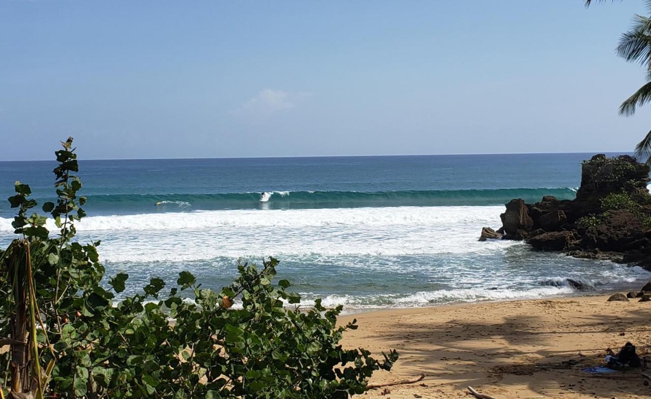 Wave View Village - Beach Front - Luxury Spot Rincon Kültér fotó
