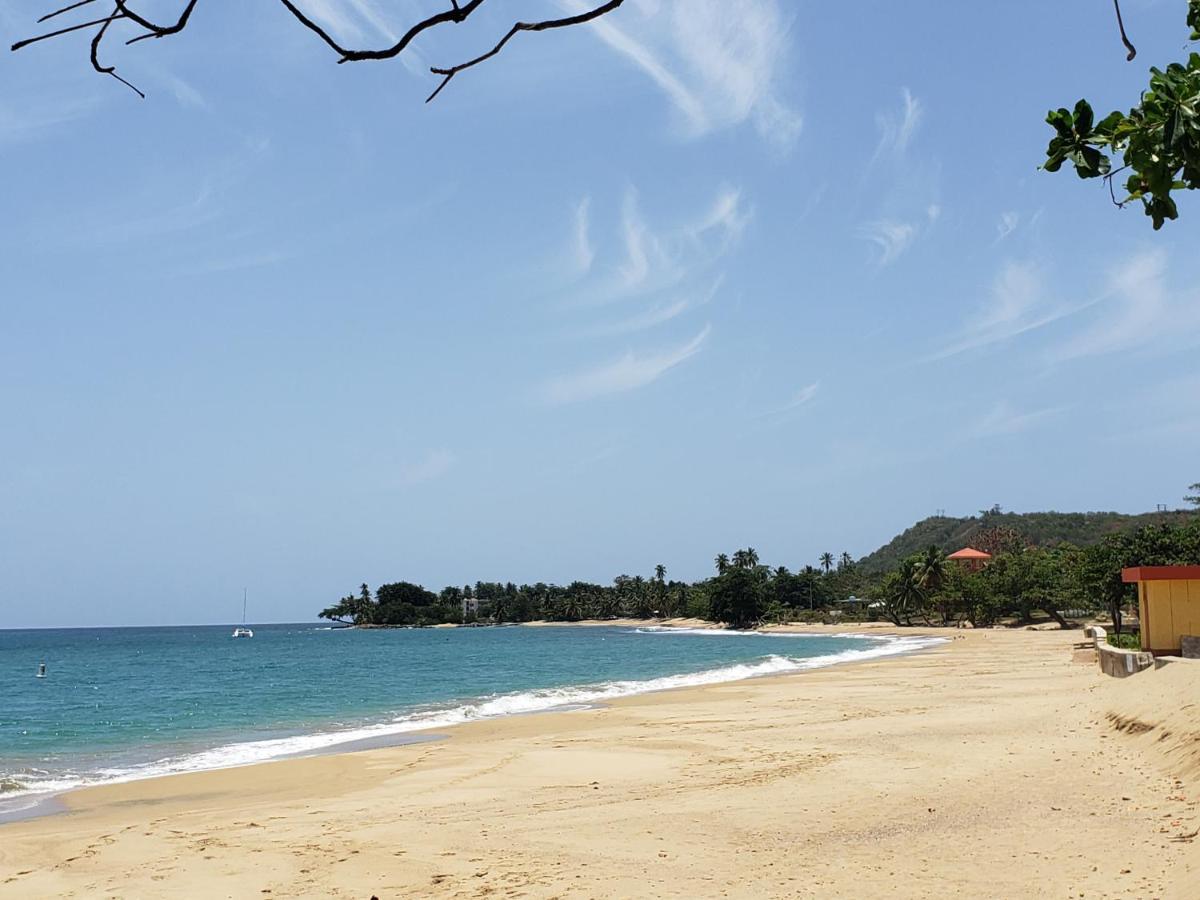 Wave View Village - Beach Front - Luxury Spot Rincon Kültér fotó